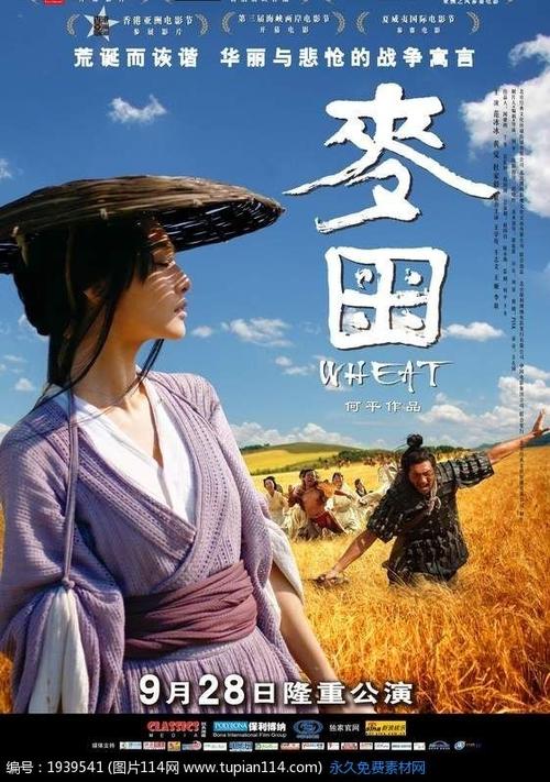 纽约州身份证怎么买假的